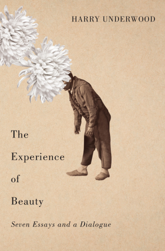 The experience of beauty : seven essays and a dialogue