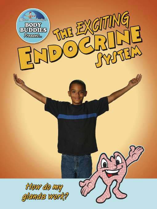 The Exciting Endocrine System