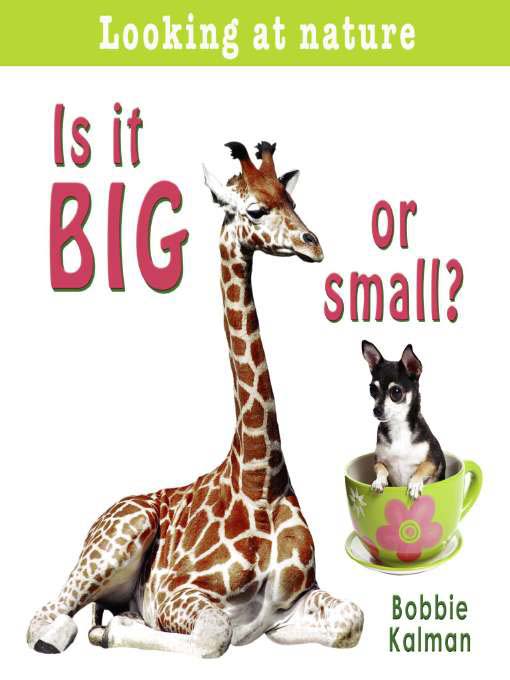 Is It Big Or Small?