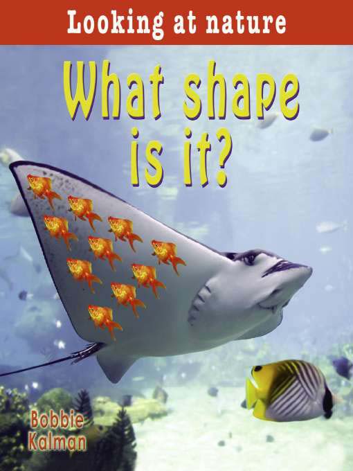 What Shape Is It?