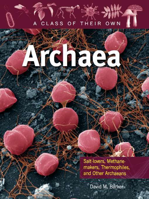 Archaea