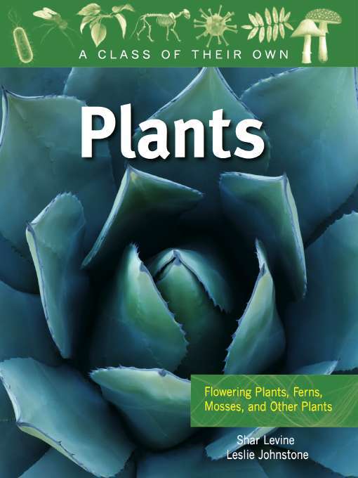 Plants