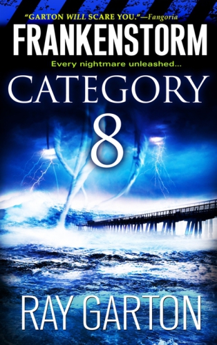 Category 8