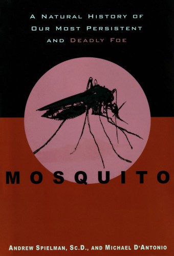 Mosquito