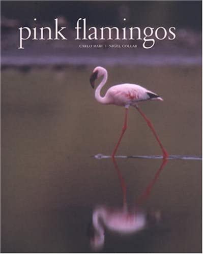 Pink Flamingos