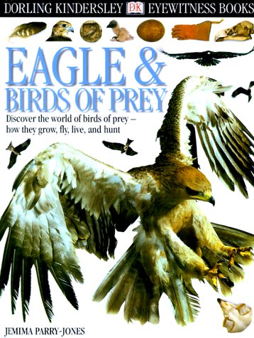 Eagle &amp; Birds of Prey