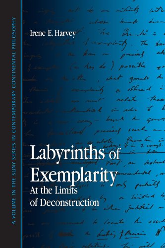 Labyrinths of Exemplarity