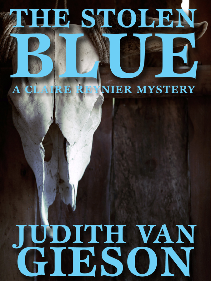 The stolen blue : a Claire Reynier mystery