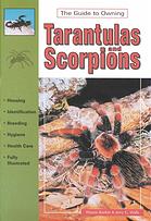 Tarantulas And Scorpions