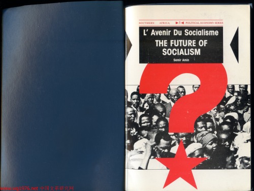 Future of Socialism (Southern Africa Political Economy)