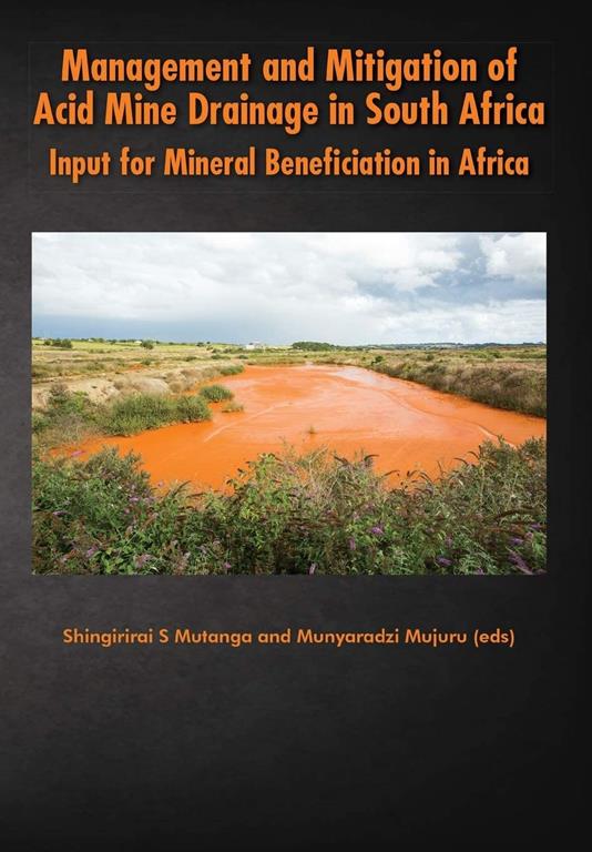 Management and Mitigation of Acid Mine Drainage in South Africa: Input for Mineral Beneficiation in Africa