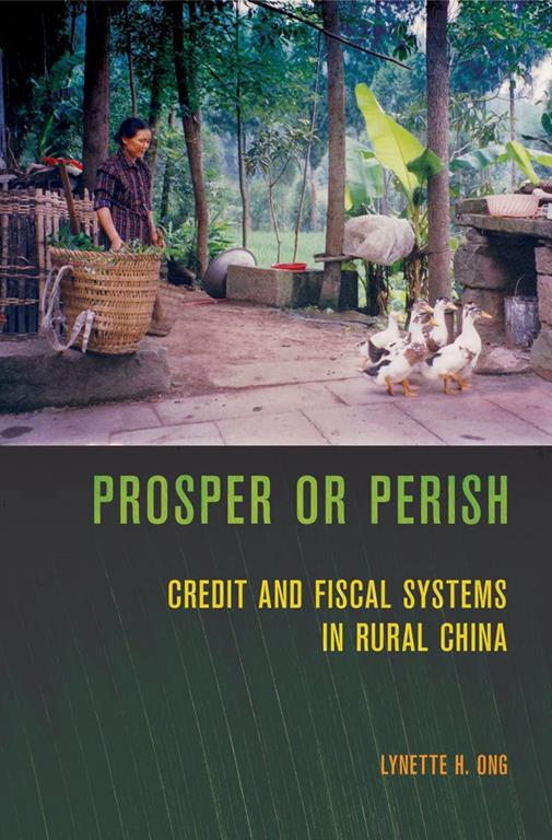 Prosper or Perish: Credit and Fiscal Systems in Rural China