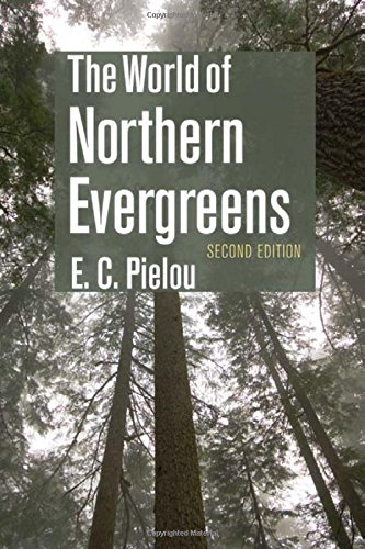 The World of Northern Evergreens