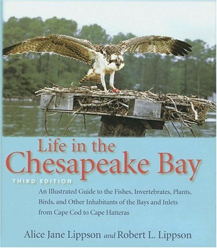 Life in the Chesapeake Bay