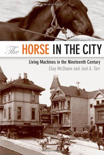 The Horse in the City