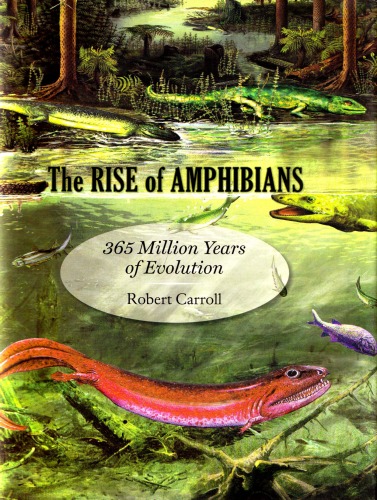 The Rise of Amphibians