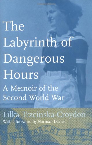 The Labyrinth of Dangerous Hours