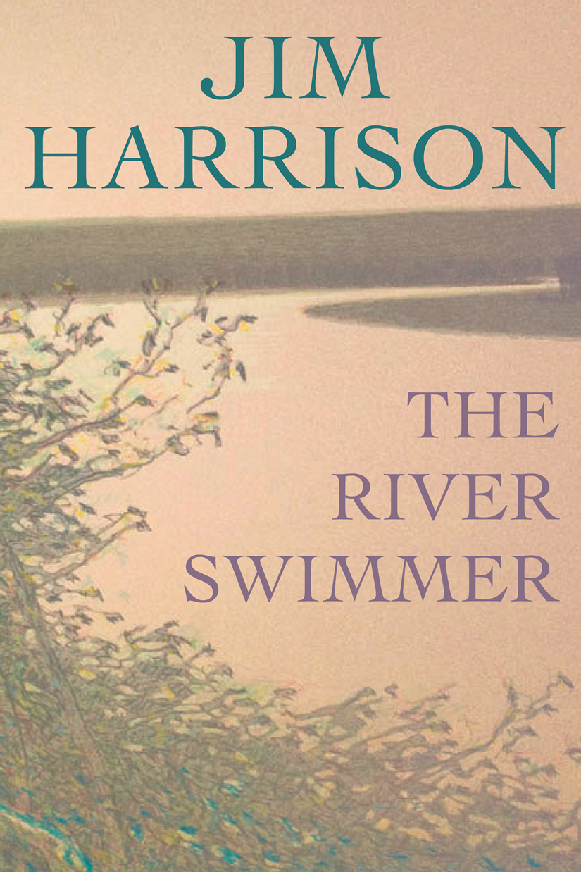 The River Swimmer