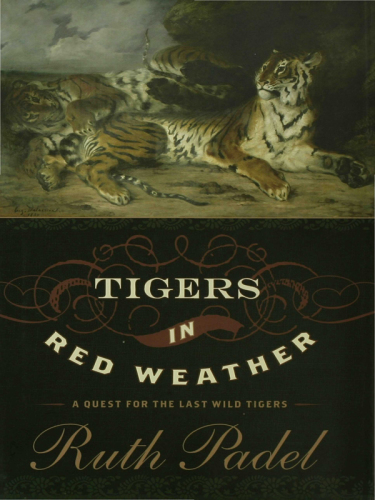 Tigers in Red Weather