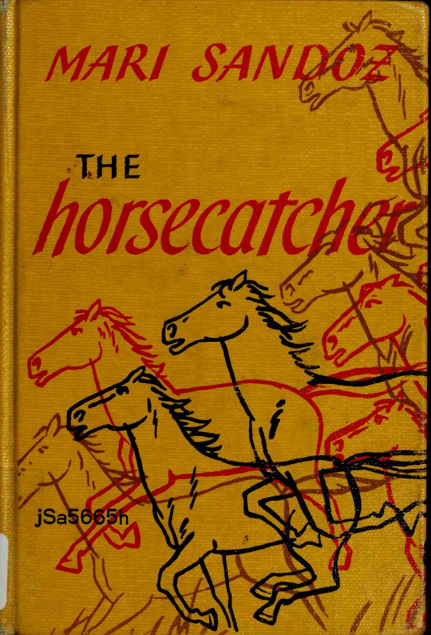 The Horsecatcher