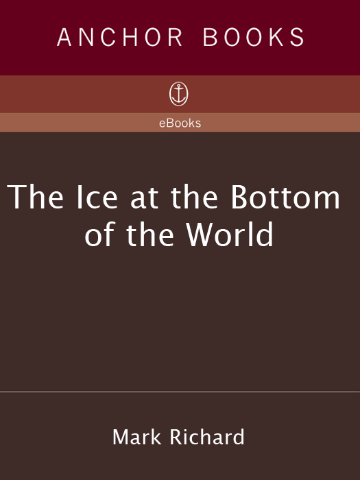 The Ice at the Bottom of the World