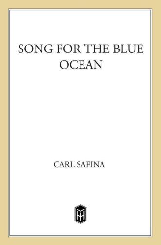 Song for the Blue Ocean