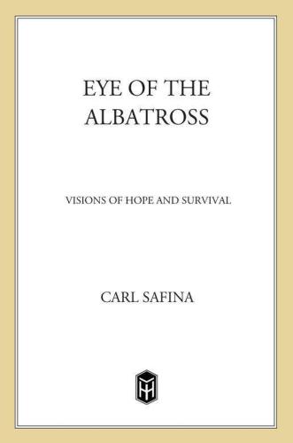 Eye of the Albatross