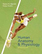 Human Anatomy &amp; Physiology