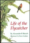 Life of the Flycatcher