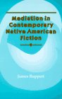 Mediation in Contemporary Native American Fiction