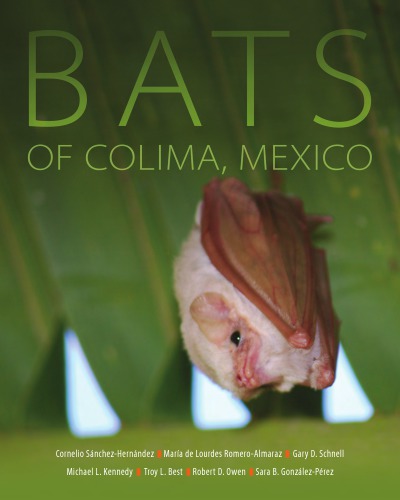 Bats of Colima, Mexico