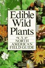 Edible Wild Plants