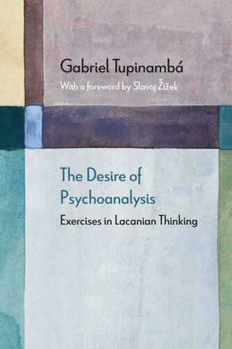 The desire of psychoanalysis : exercises in Lacanian thinking