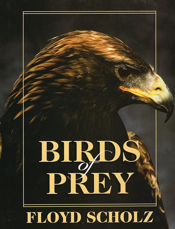 Birds of Prey