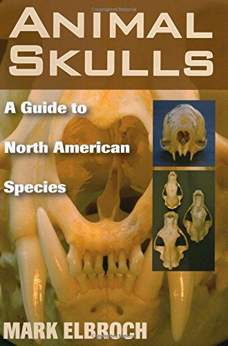 Animal Skulls