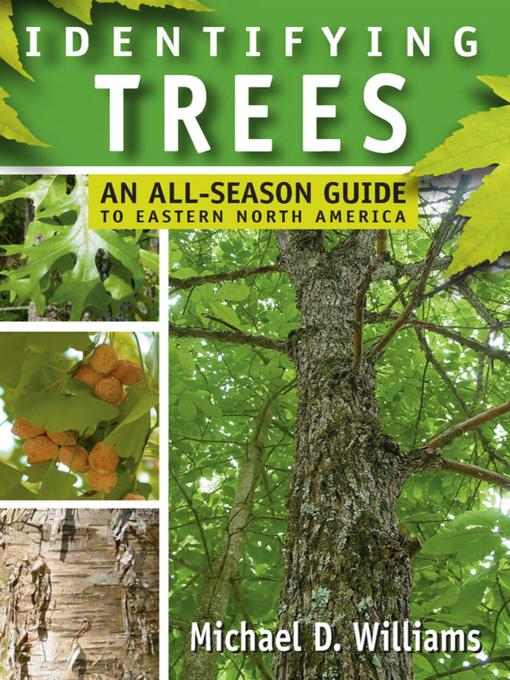 Identifying Trees