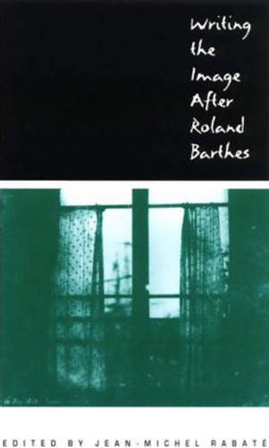 Writing the Image After Roland Barthes (New Cultural Studies)