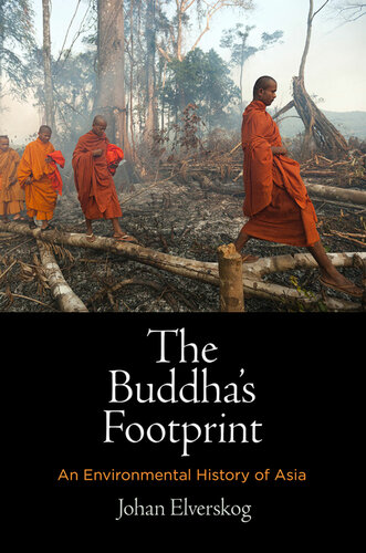 The Buddha's Footprint