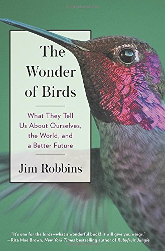 The Wonder of Birds