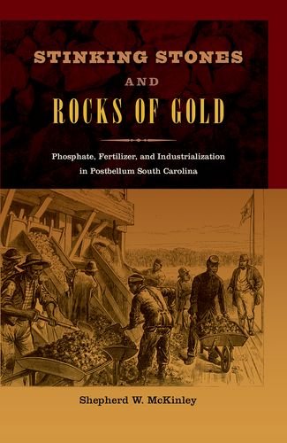 The Origins of &quot;King&quot; Phosphate in the New South