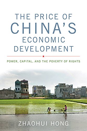 The Price of China's Economic Development