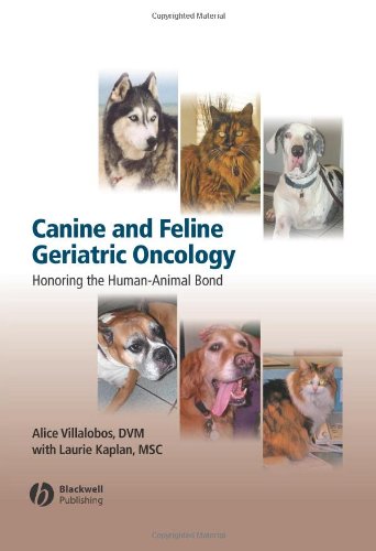 Canine and Feline Geriatric Oncology