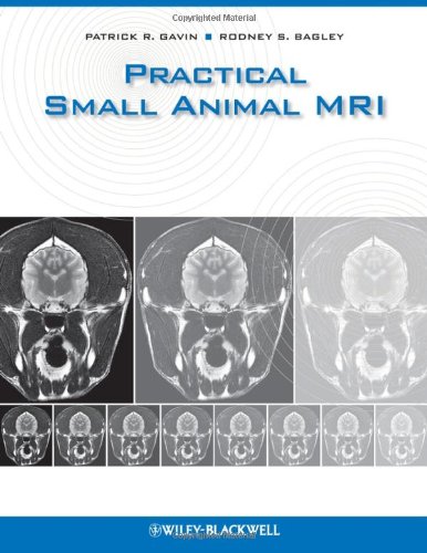 Small Animal MRI