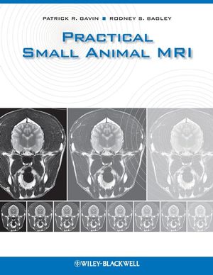 Practical small animal MRI