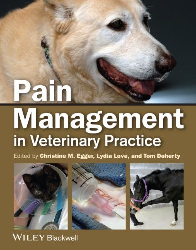 Pain Management in Veterinary Practice