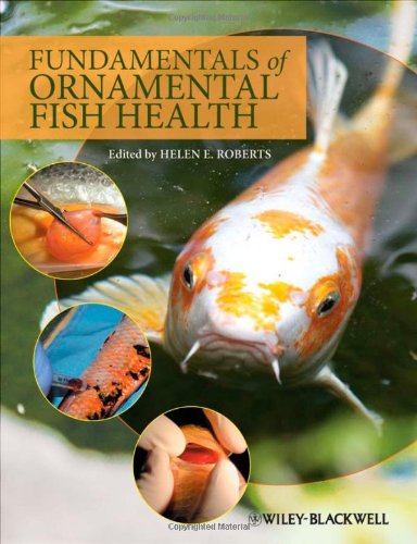 Fundamentals Of Ornamental Fish Health