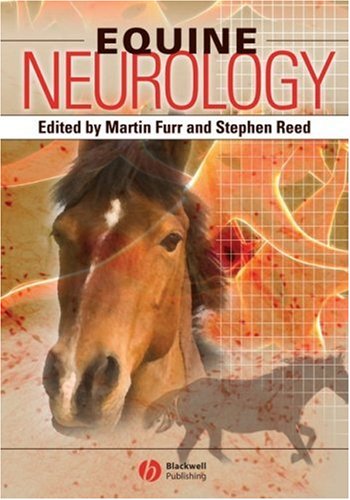 Equine Neurology