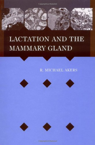 Lactation Mammary Gland