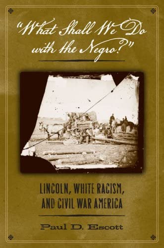 &quot;What Shall We Do with the Negro?&quot;: Lincoln, White Racism, and Civil War America