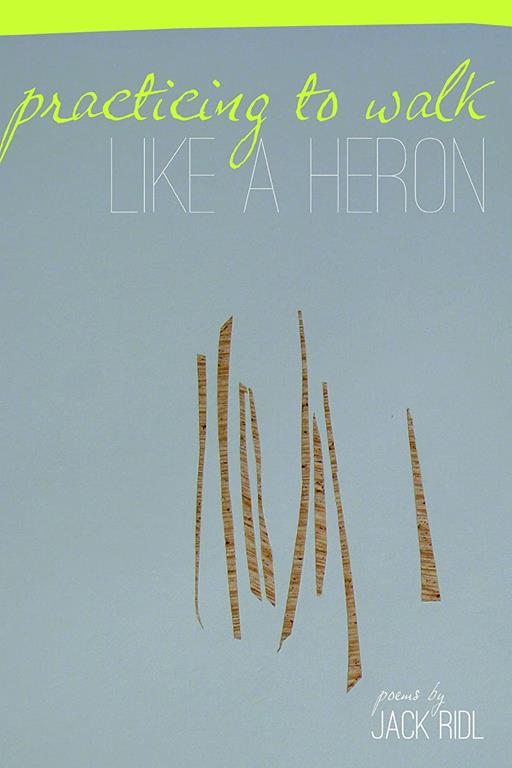 Practicing to Walk Like a Heron (Made in Michigan Writers Series)